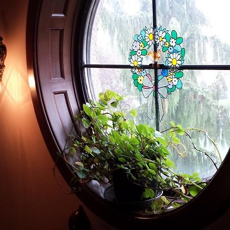 Kocsis Panzio Es Etterem Bed & Breakfast Komárom Dış mekan fotoğraf